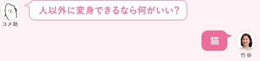 人以外に変身できるなら何がいい？ 猫